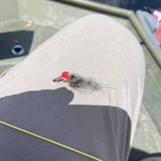 Another Angle Of Peacock Bass Fly 04_26