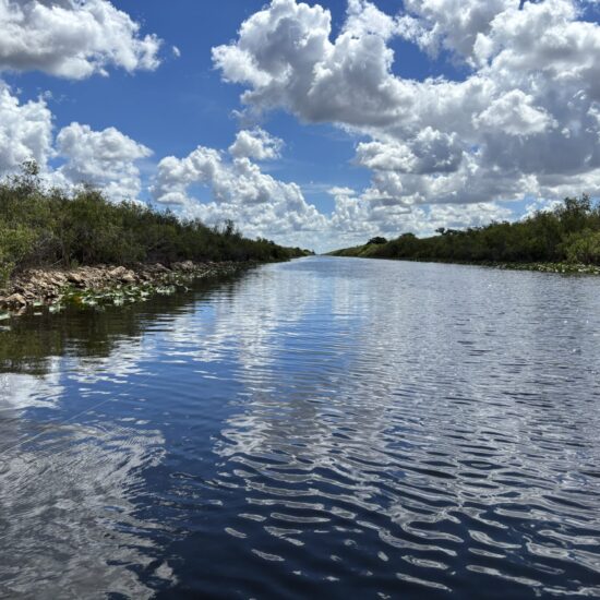 Beautiful Saturday On Alligator Alley