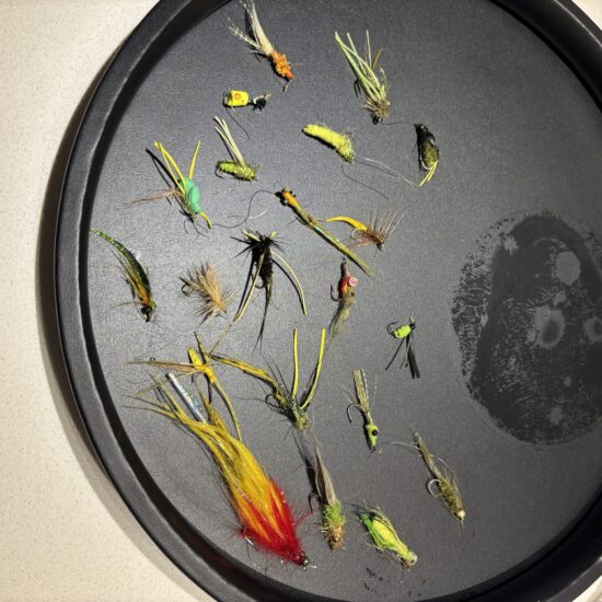 Gragg_s Assortment of Used Flies Drying Out 04_26