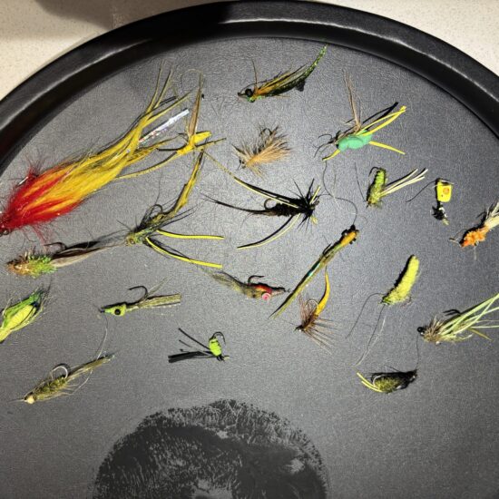 Gragg_s Used Flies In Drying Mode 04_26