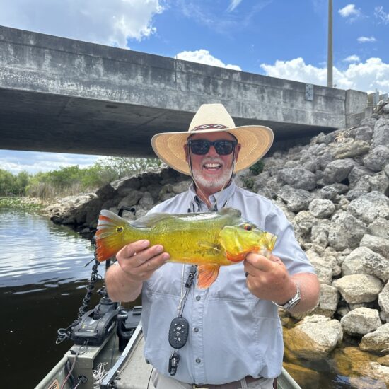 Guy with Beautiful Peacock