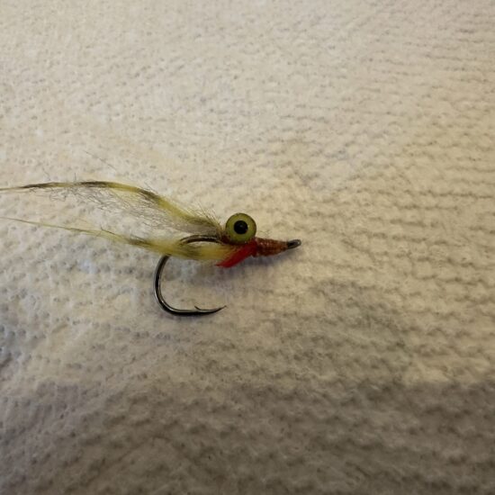 Justin Nguyen Killer Fly