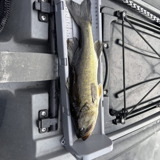 Richard's Decent Bass 04_26