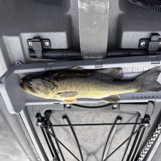Richard's Decent Bass 04_26